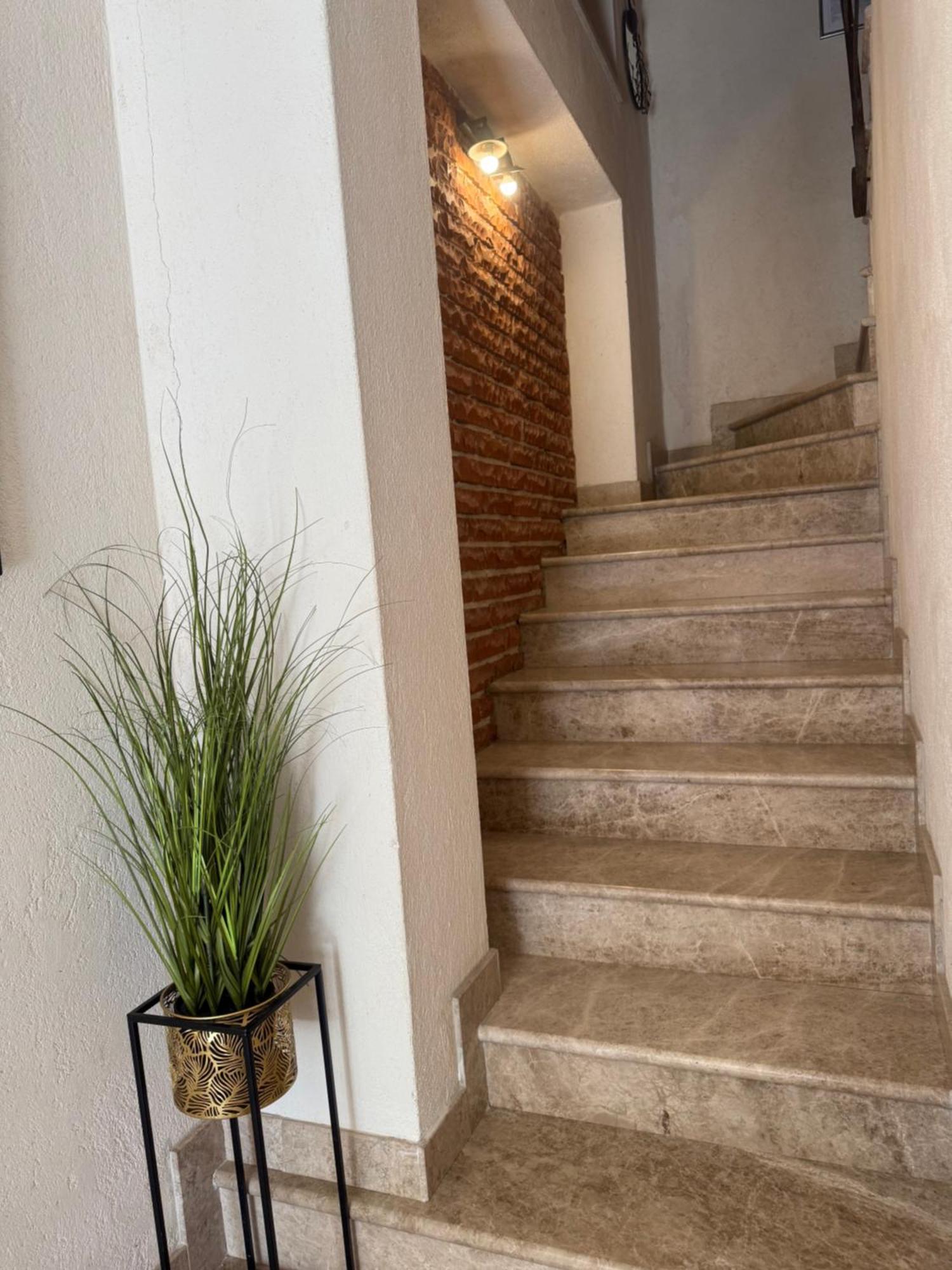 הרצג-נובי Skver Studio Apartments מראה חיצוני תמונה